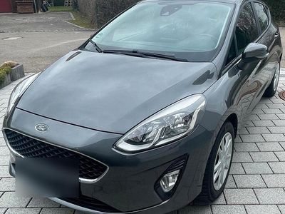 Gebraucht Ford Fiesta 86 PS (63 kW) 2019 Grau Kleinwagen