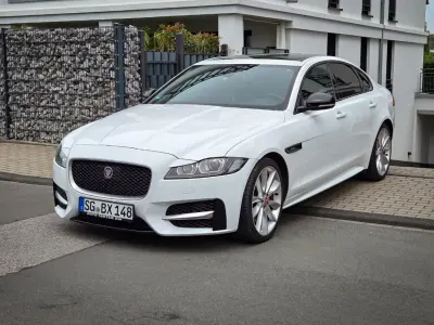 Gebraucht Jaguar XF R-Sport 300 PS (220 kW) 2017 Weiß Limousine