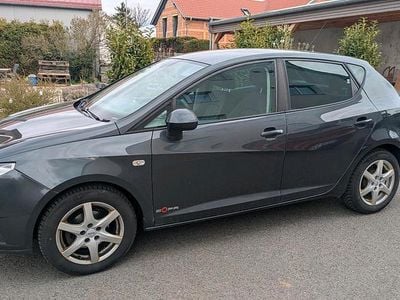 Gebraucht Seat Ibiza Copa 86 PS (63 kW) 2011 Grau Kleinwagen