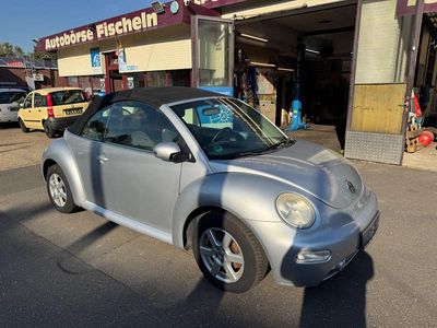 VW Beetle
