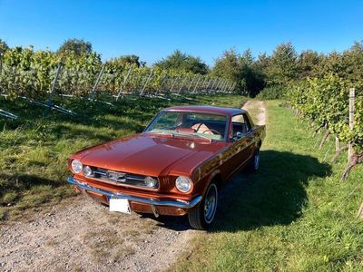 gebraucht Ford Mustang 