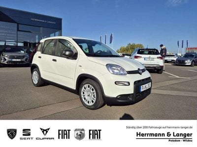 Weiss Gebraucht 2024 Fiat Panda S Kleinwagen | 13.999 € (Fairer Preis)