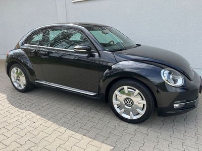 VW Beetle