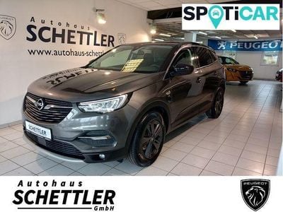 Gebraucht Opel Grandland X 131 PS (96 kW) 2020 Grau SUV