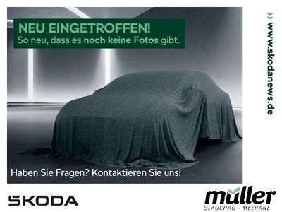 gebraucht Skoda Kodiaq RS 4x4 176kW RFK StHZ el. HK NAVI