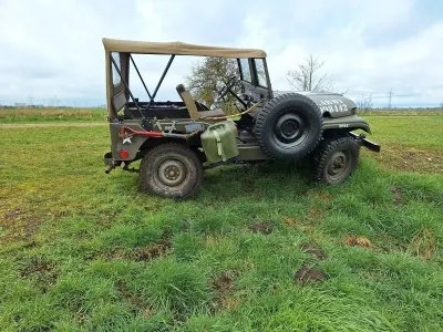 Gebraucht Jeep Willys 69 PS (50 kW) 1959 Grün SUV