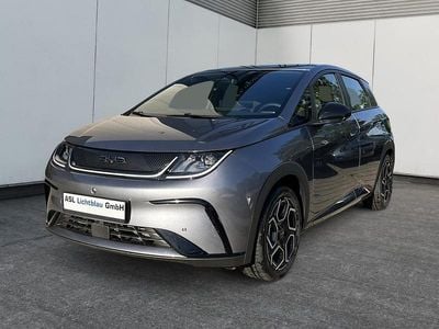 Time grey Gebraucht 2025 BYD Dolphin Comfort Kleinwagen | 28.950 € (Fairer Preis)