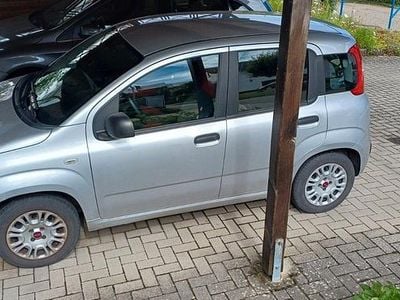 Silber Gebraucht 2016 Fiat Panda Easy Kleinwagen | 5.900 € (Guter Preis)