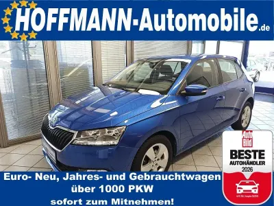 Gebraucht Skoda Fabia Style 95 PS (69 kW) 2020 Raceblaumet. Kleinwagen