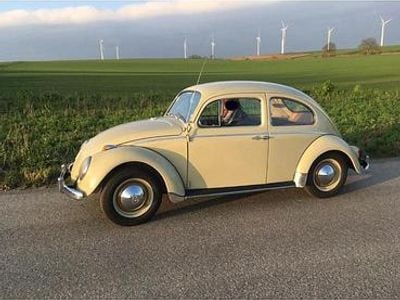 Gebraucht VW Käfer 32 PS (23 kW) 1963 Weiß Limousine