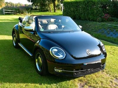 VW Beetle