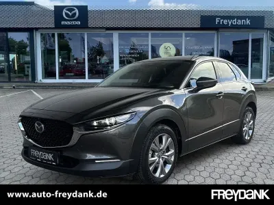 Gebraucht Mazda CX-30 Selection 150 PS (110 kW) 2022 Grau SUV