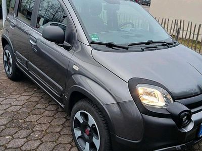 Gebraucht Fiat Panda Cross Cross 69 PS (50 kW) 2018 Grau Kleinwagen