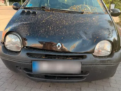 Gebraucht Renault Twingo