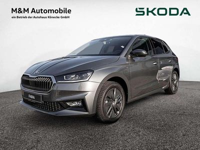 Graphitgrau Neu 2026 Skoda Fabia Tour Kleinwagen | 25.688 €