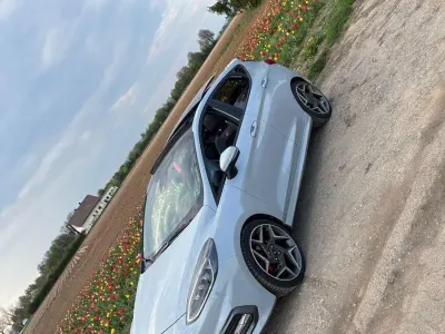 Gebraucht Ford Fiesta Performance Edition 200 PS (147 kW) 2019 Grau Kleinwagen