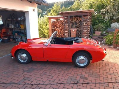 gebraucht Austin Healey Frogeye 