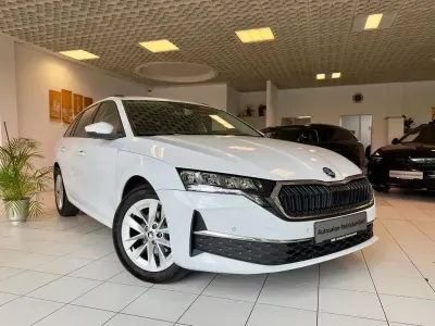 Gebraucht Skoda Octavia Selection 150 PS (110 kW) 2024 Weiß Kombi