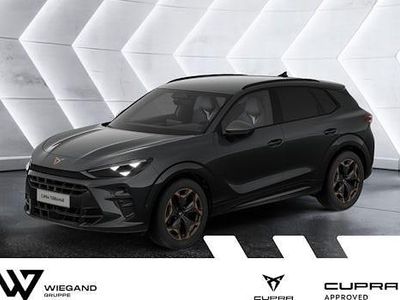 Usata Cupra Terramar 204 CV (150 kW) 2025 Grigio SUV