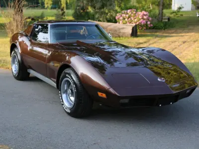 Gebraucht Corvette C3 194 PS (142 kW) 1974 Braun Cabrio
