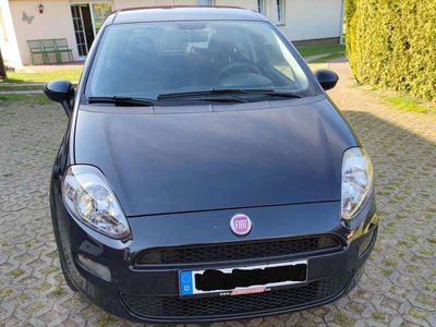 gebraucht Fiat Punto Evo Punto 1.2 8V Pop