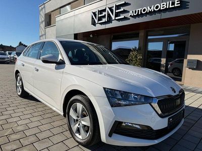 Gebraucht Skoda Scala Cool Plus 110 PS (80 kW) 2021 Weiß Kleinwagen