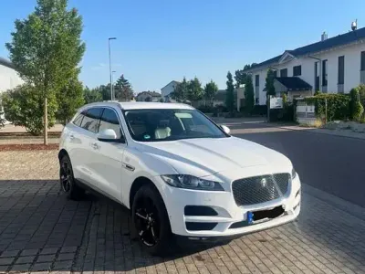 Gebraucht Jaguar F-Pace Portfolio 300 PS (220 kW) 2017 Weiß SUV