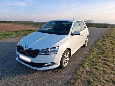 Usata Skoda Fabia 60 CV (44 kW) 2019 Bianco Utilitaria