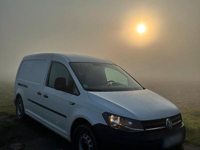 Gebraucht VW Caddy Maxi 150 PS (110 kW) 2017 Weiß Van / Kleinbus