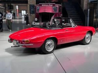 Gebraucht Alfa Romeo Spider 109 PS (80 kW) 1966 Rot Cabrio