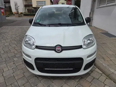 Gebraucht Fiat Panda Easy 69 PS (50 kW) 2018 Bianco divino/zenit/ghiaccio/gel Kleinwagen