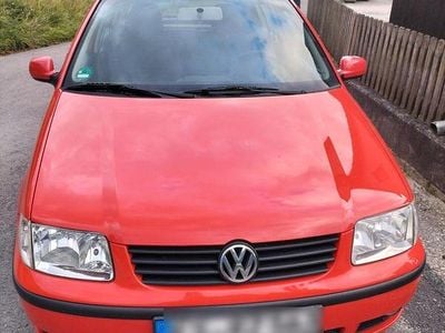 VW Polo