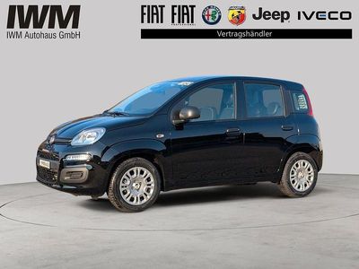 Neu Fiat Panda Icon 69 PS (50 kW) 2026 Schwarz Limousine