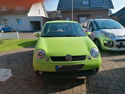 Usata VW Lupo Comfortline 50 CV (36 kW) 2000 Verde Utilitaria