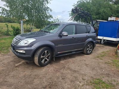 Usata SsangYong Rexton 178 CV (130 kW) 2017 Grigio SUV