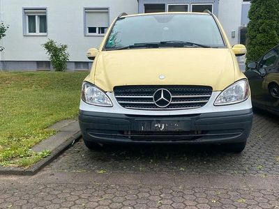 Mercedes Viano