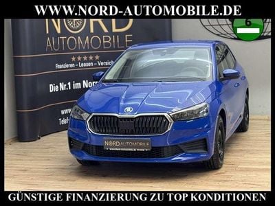 Gebraucht Skoda Fabia Easy 65 PS (47 kW) 2022 Energy blau Kleinwagen