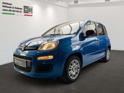 Neu Fiat Panda Icon 69 PS (50 kW) 2026 Italiablau, dach schwarz Kleinwagen
