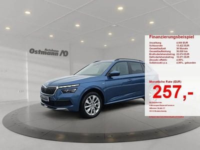 Gebraucht Skoda Kamiq Clever 150 PS (110 kW) 2021 Blau SUV