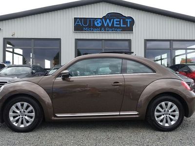 VW Beetle