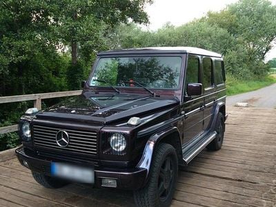 Usata Mercedes G500 296 CV (217 kW) 1999 Viola SUV