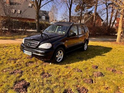 Mercedes ML270