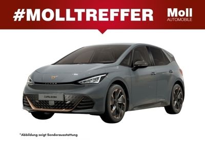 gebraucht Cupra Born Edition Dynamic h 6-Monate Lieferzeit