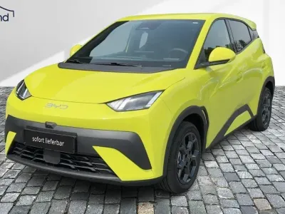 Gebraucht BYD Dolphin Surf