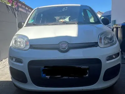 Usata Fiat Panda 69 CV (50 kW) 2019 Bianco Utilitaria