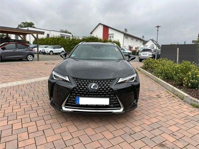 Lexus UX 250h