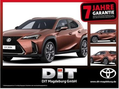 Lexus UX 300h
