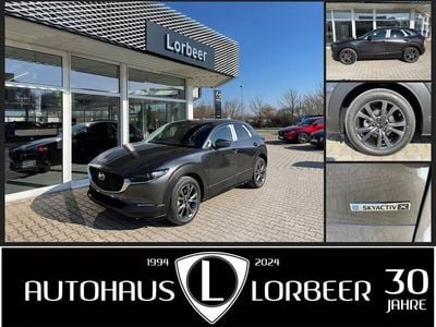 Gebraucht Mazda CX-30 Selection 186 PS (136 kW) 2023 Grau SUV
