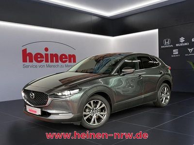 Gebraucht Mazda CX-30 Selection 179 PS (131 kW) 2020 Andere SUV