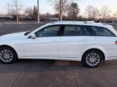 Gebraucht Mercedes E220 Edition 170 PS (125 kW) 2015 Weiß Kombi
